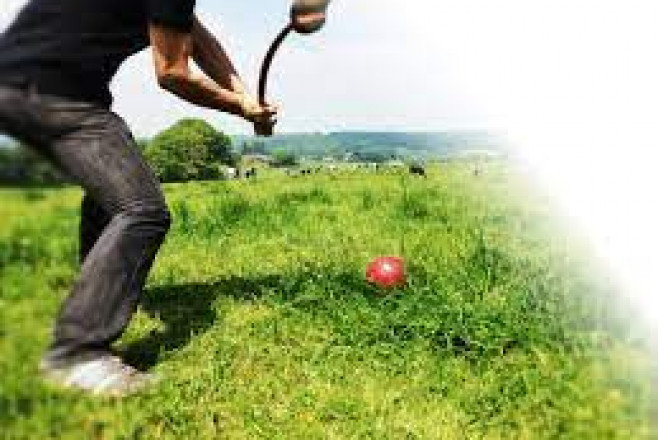 Übersicht über die von uns angebotenen Aktivitäten