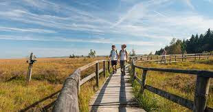 promeneurs dans les Fagnes