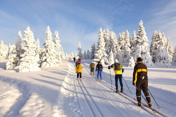 groupe skieurs de fond