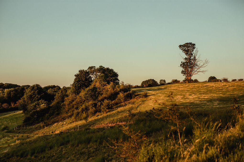 colline coucher de soleil